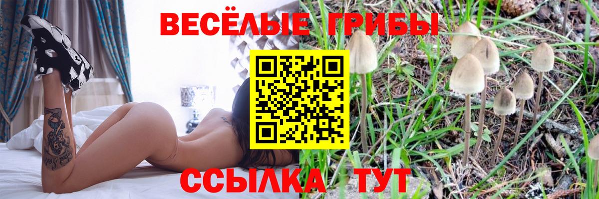 Каннабис  Рыбинск  Вход с VPN  Меф кристаллы  ГАШИШ  КОКАИН  ЭКСТАЗИ 